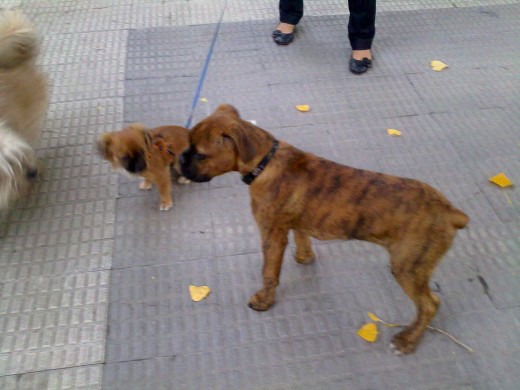 con su amiguita Sali de 5 meses.